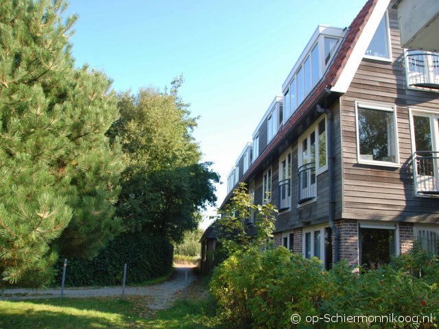Hazelaar (8) in Boszicht Hazelaar (8) in Boszicht
