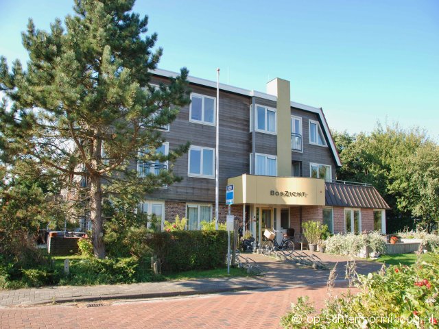 Hazelaar (8) in Boszicht Hazelaar (8) in Boszicht